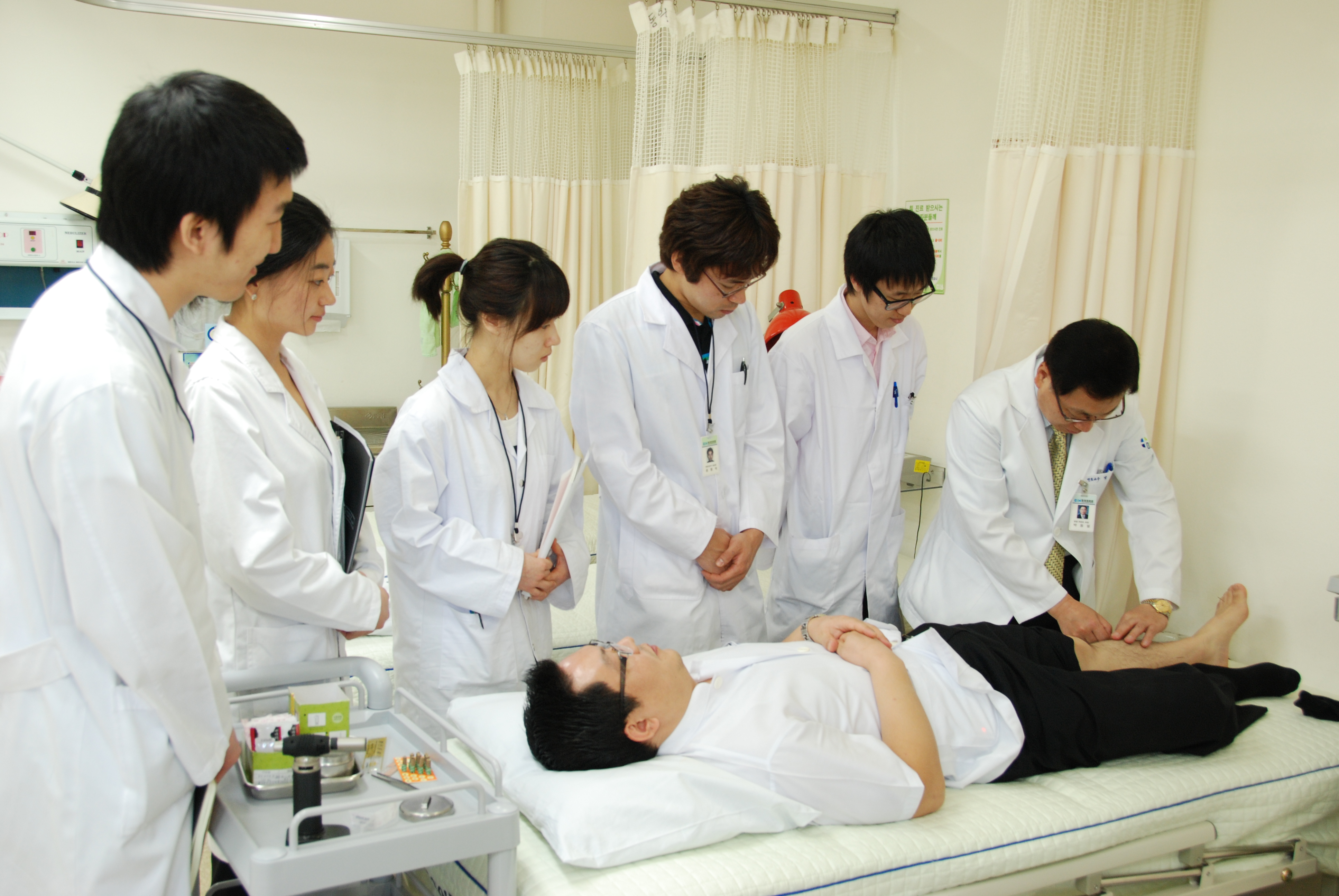 [소식] 호주 시드니공대 중의대 학생들, 동의대 한방병원에서 임상 실습